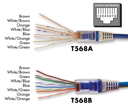 Hướng dẫn bấm dây mạng theo đúng chuẩn